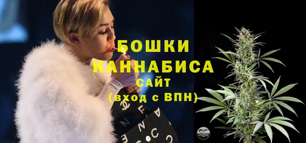 эйфоретик Пестово
