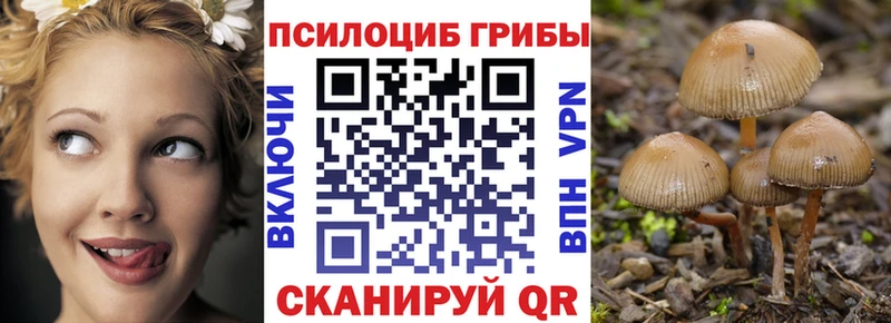 Псилоцибиновые грибы мицелий  Отрадное 